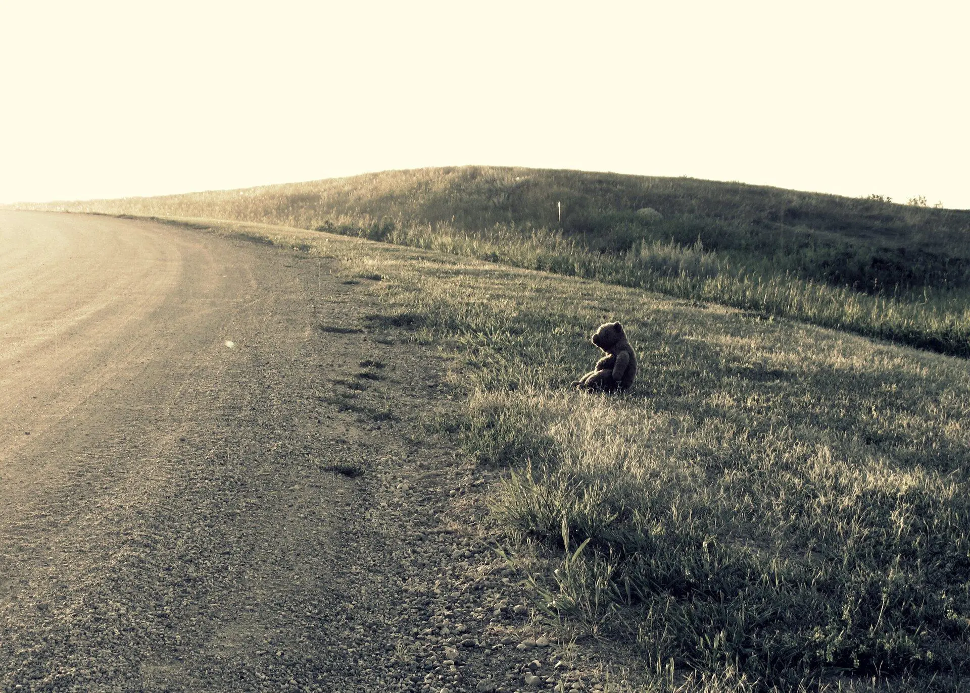 Teddy bear sitting beside a gravel road on a grassy hillside