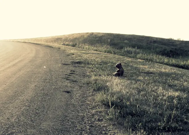 Teddy bear sitting beside a gravel road on a grassy hillside