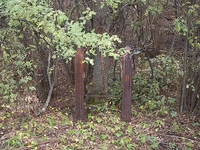 Old rusted sled runners in the trees